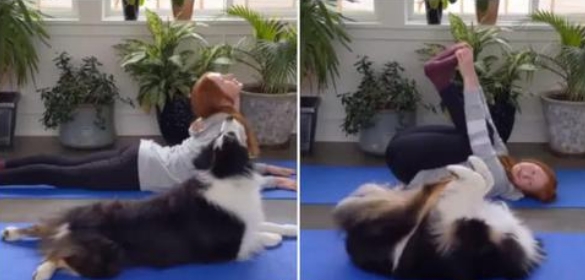 La femme essaie de faire sa séance de yoga tranquillement mais son chien décide de l’imiter